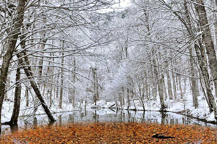 Seven Lakes Winter