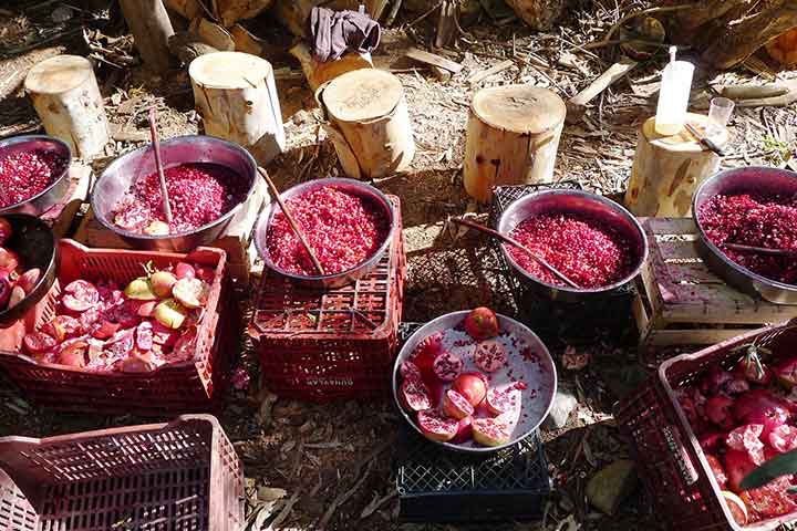 Making Pomegranate in Turkey on Eco Tours