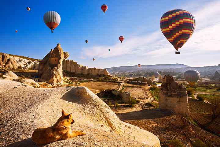 Morning Cappadocia Balloons