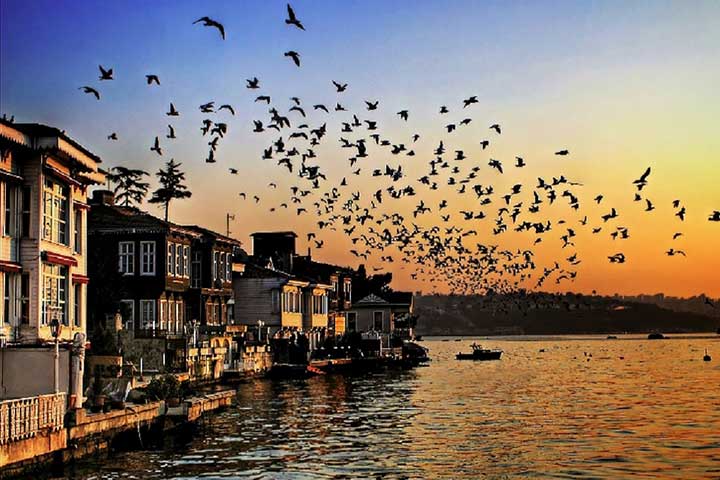 Beykoz Shore Bosphorus
