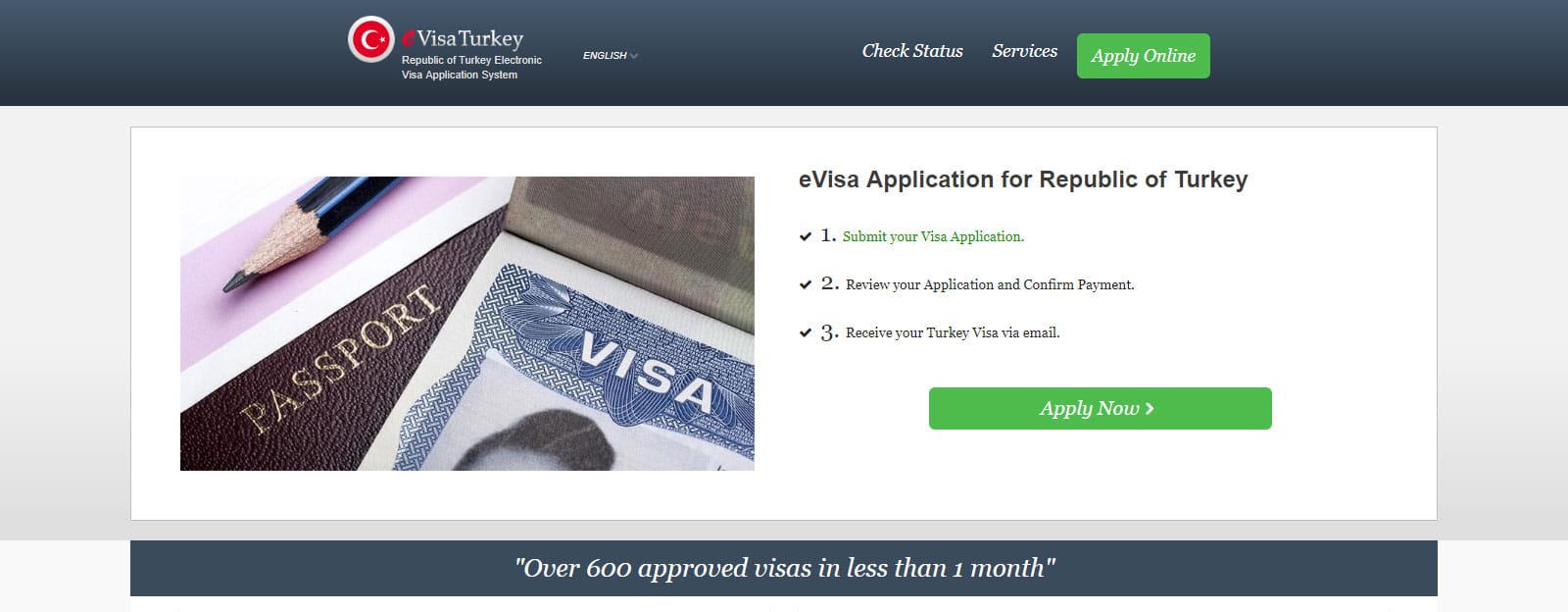 Scam E-Visa Site