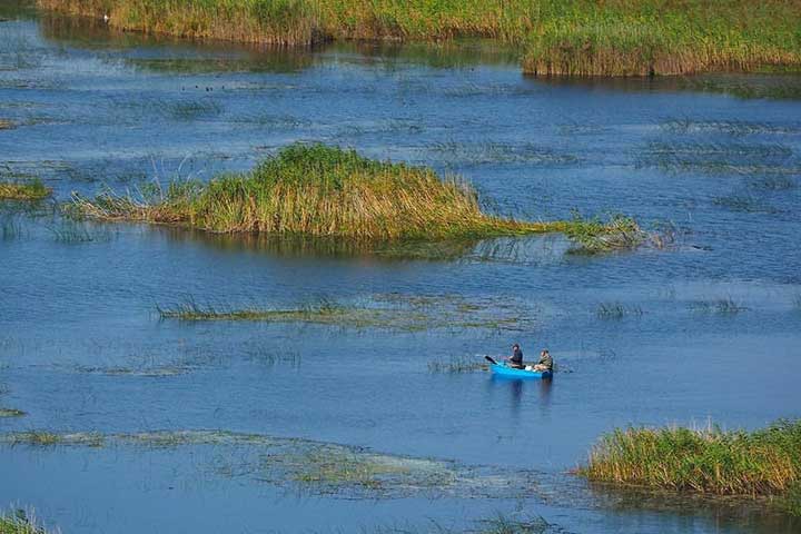 Boat Ride Marsh Turkey