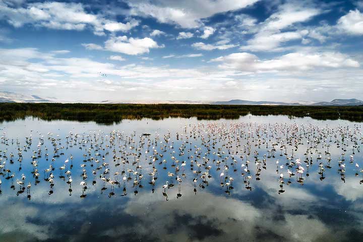 Most Amazing Eber Lake