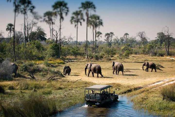 Luxury Safari Botswana